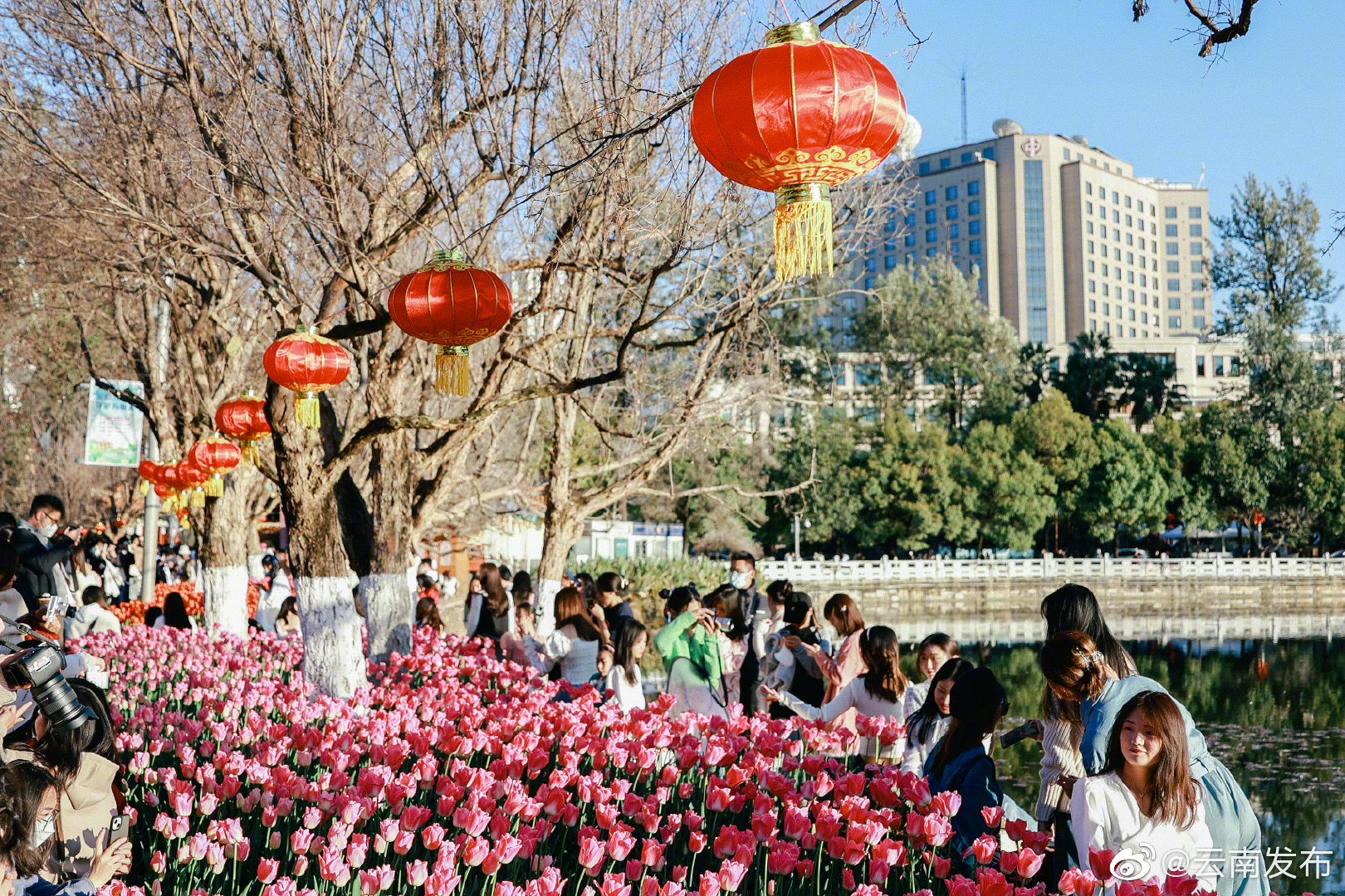 “云南发布”微博