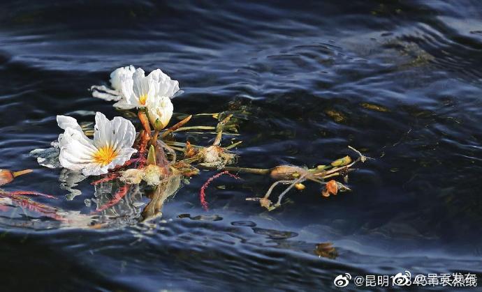呈贡发布