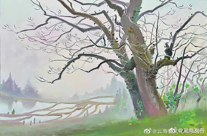 呈贡发布
