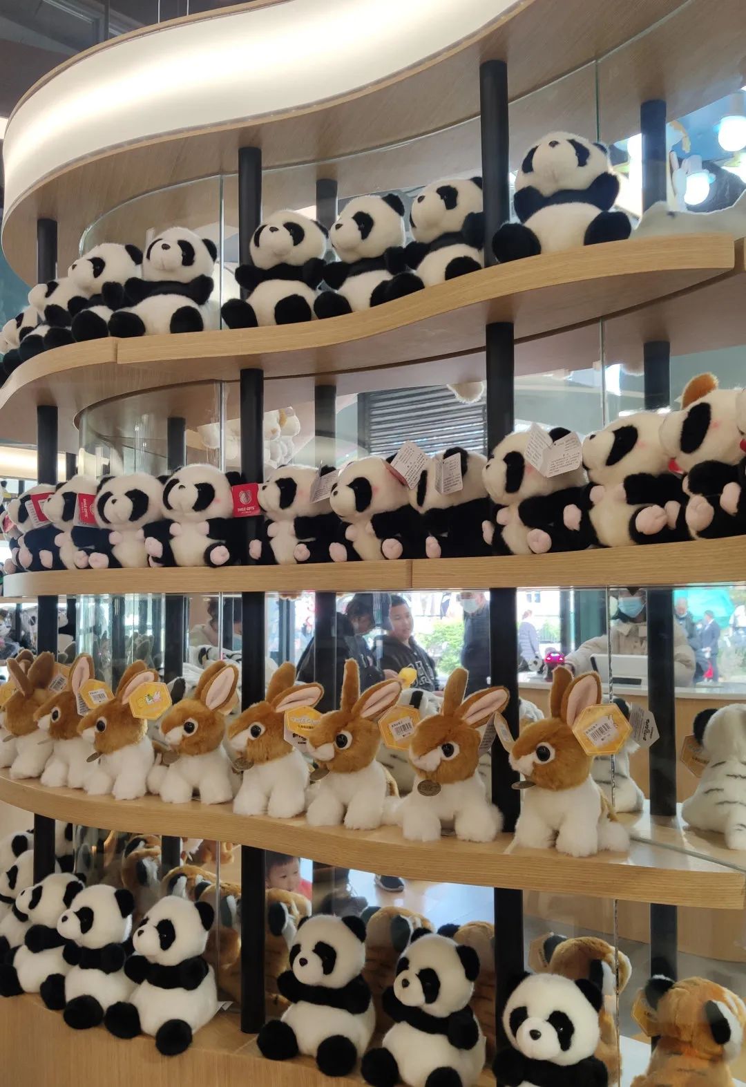 昆明动物园