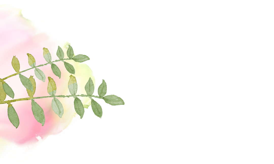 云南省中医医院