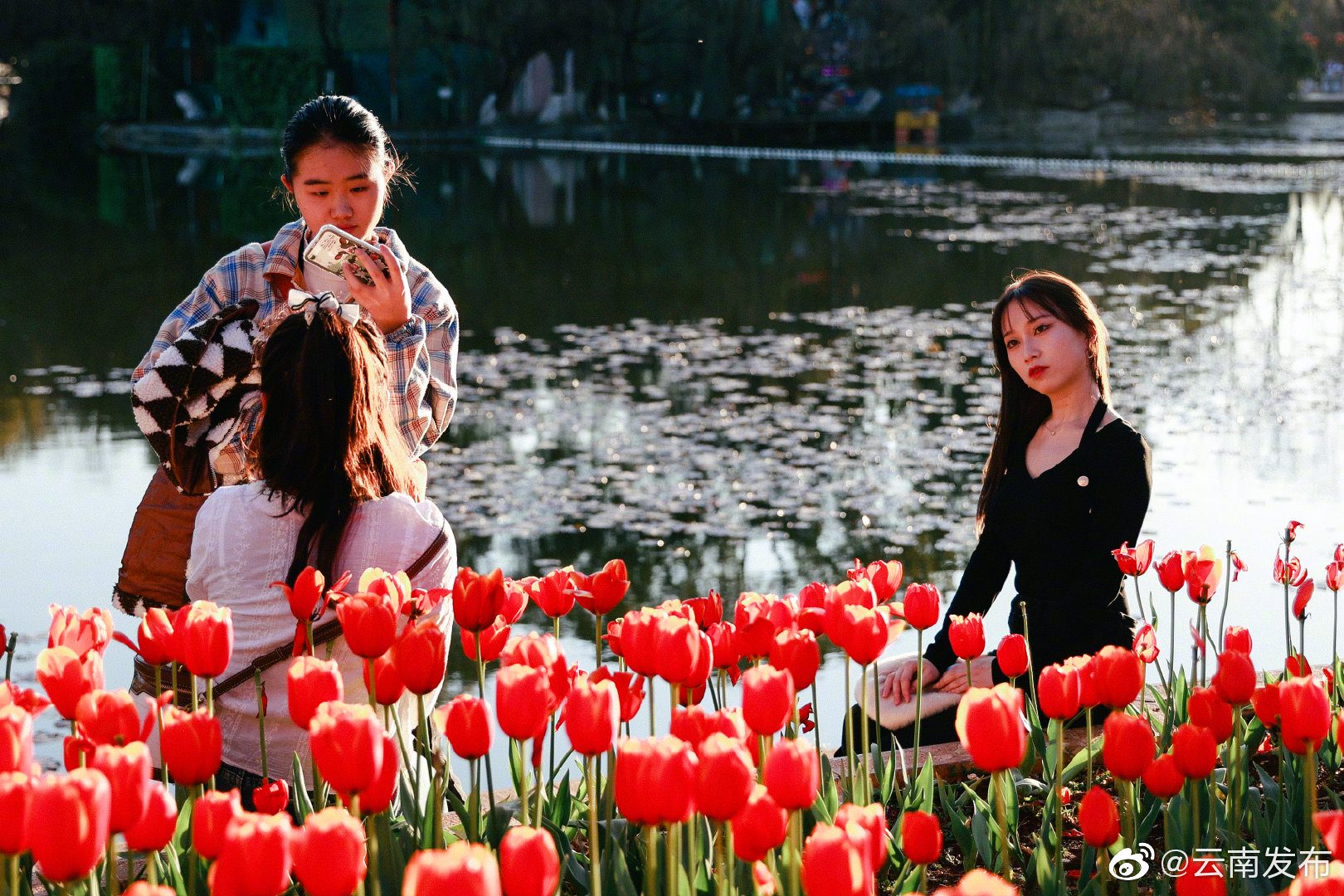 “云南发布”微博