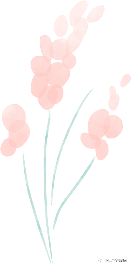 保山广播电视台