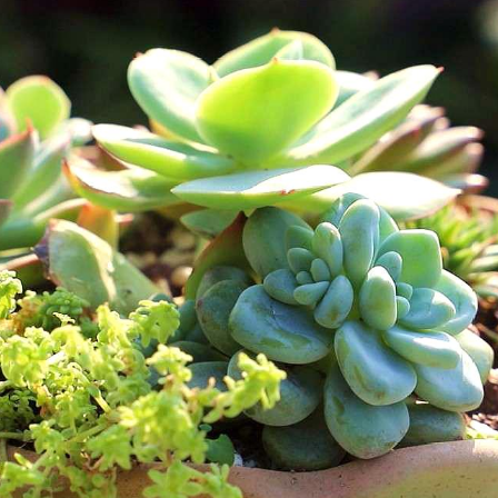 大理电视台