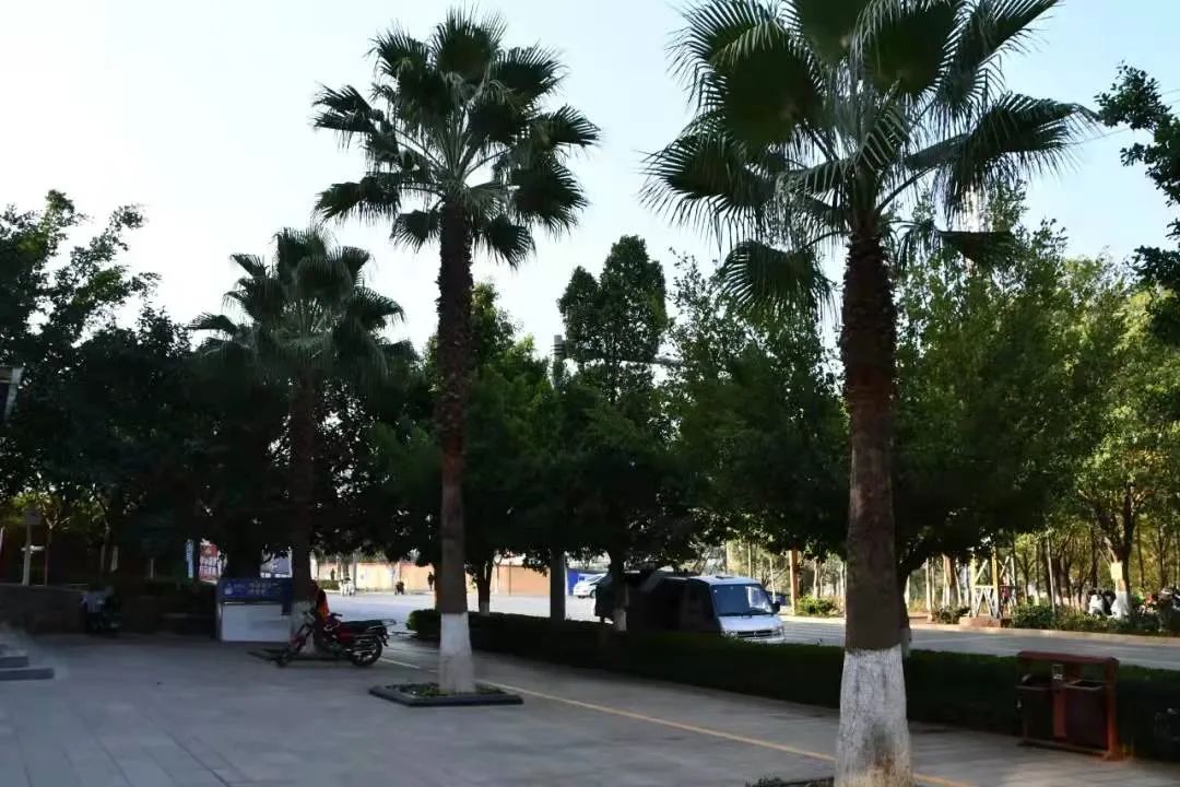 东川发布(微信)