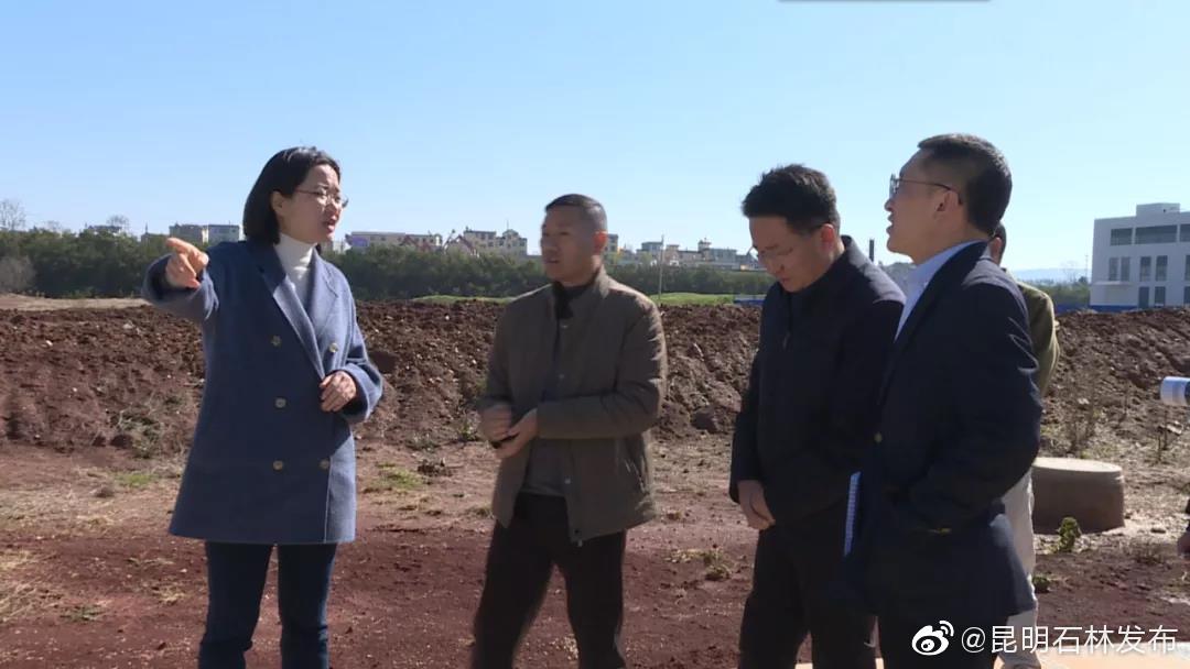 昆明石林发布