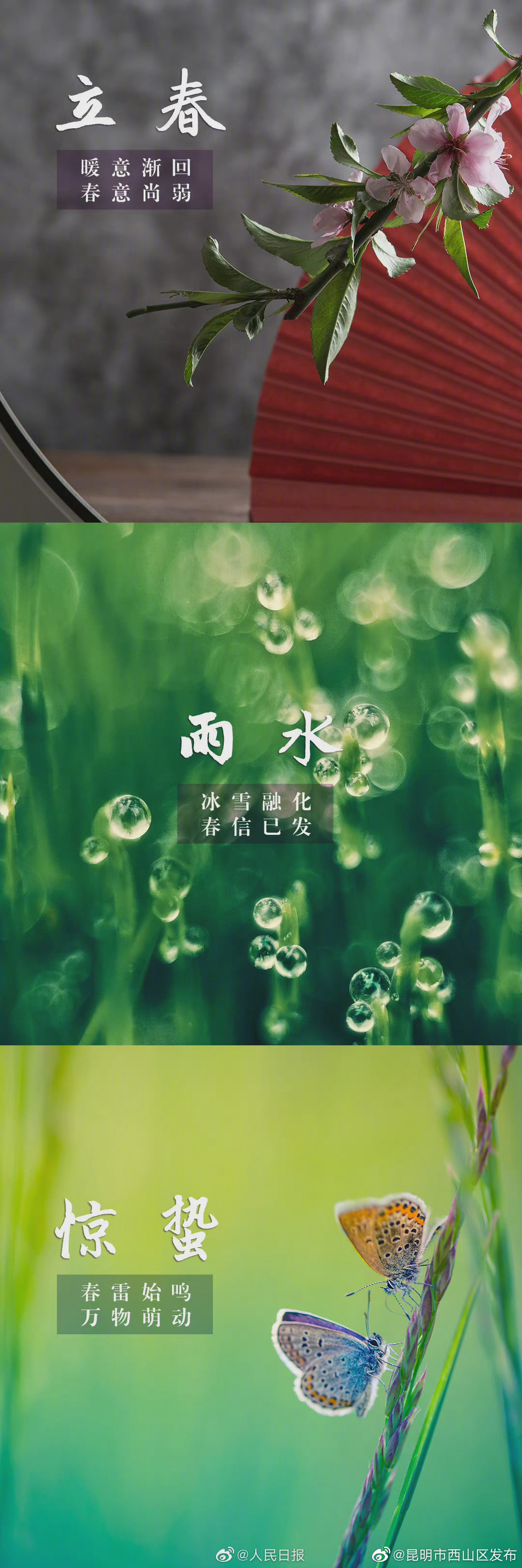 “昆明市西山区发布”微博