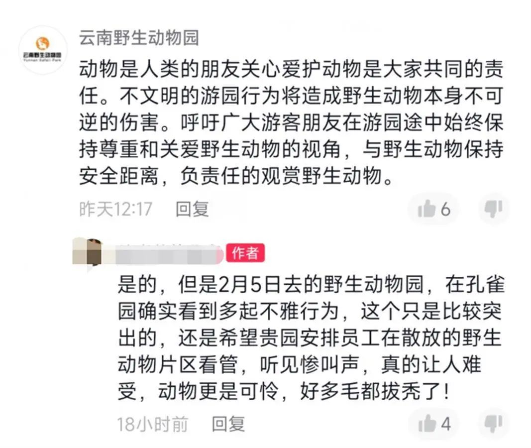 春城晚报