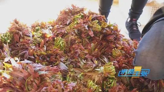 掌上春城微信公众号