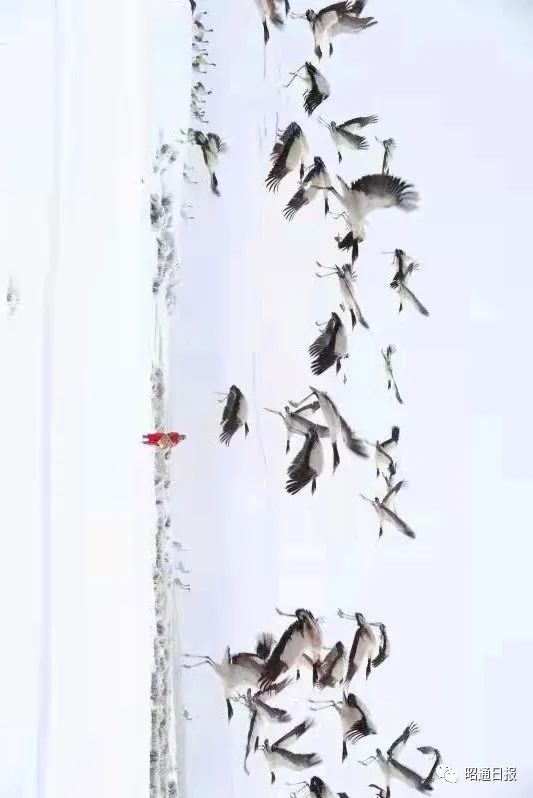 昭通日报