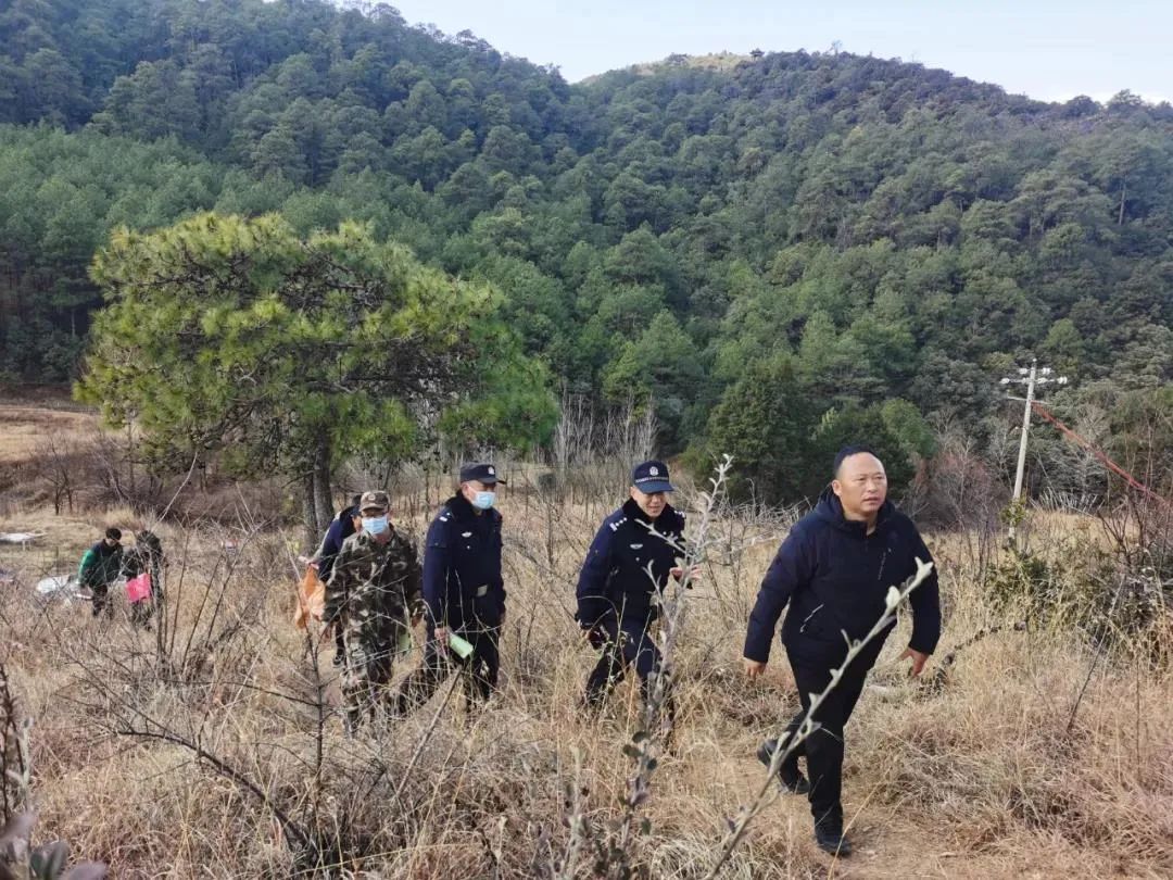 丽江日报
