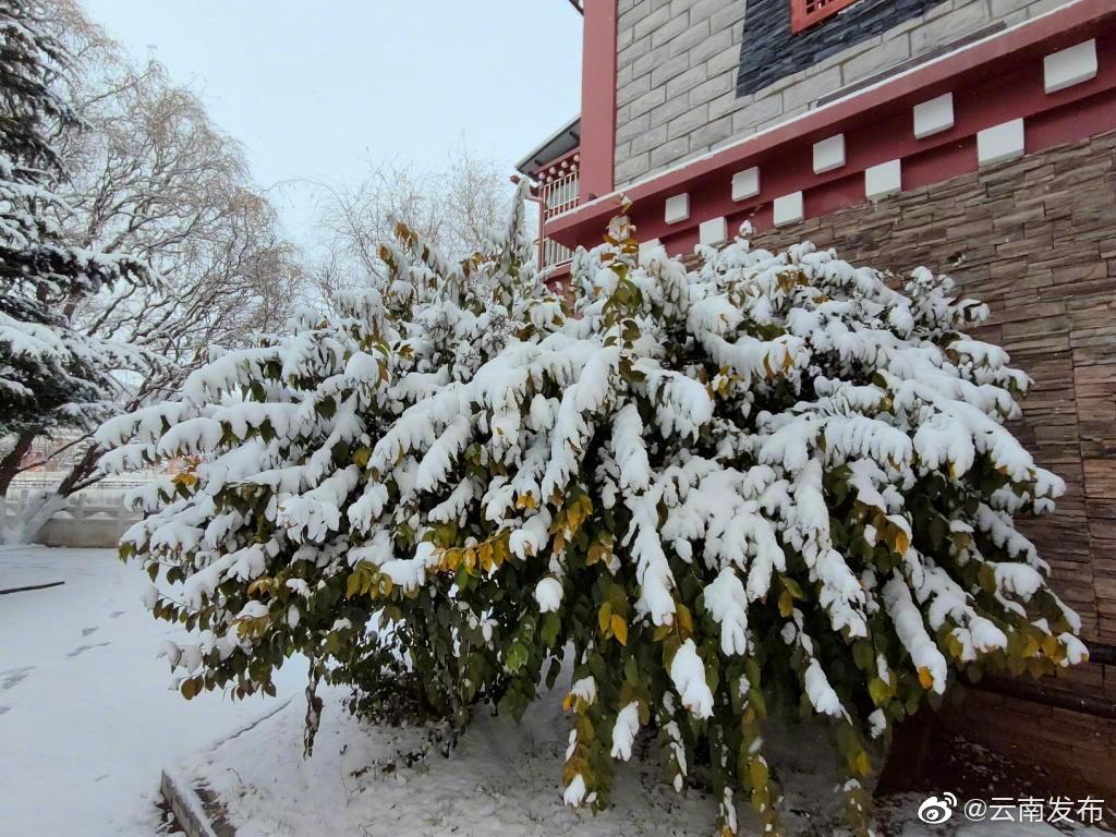 “云南发布”微博