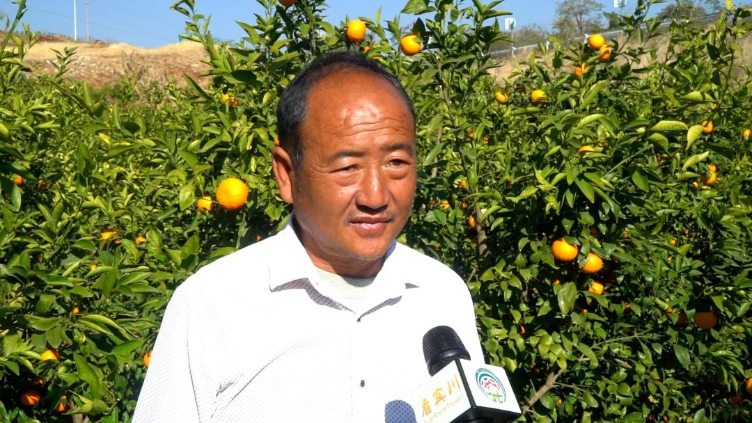 大理电视台