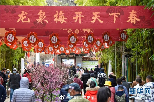 昆明盘龙发布