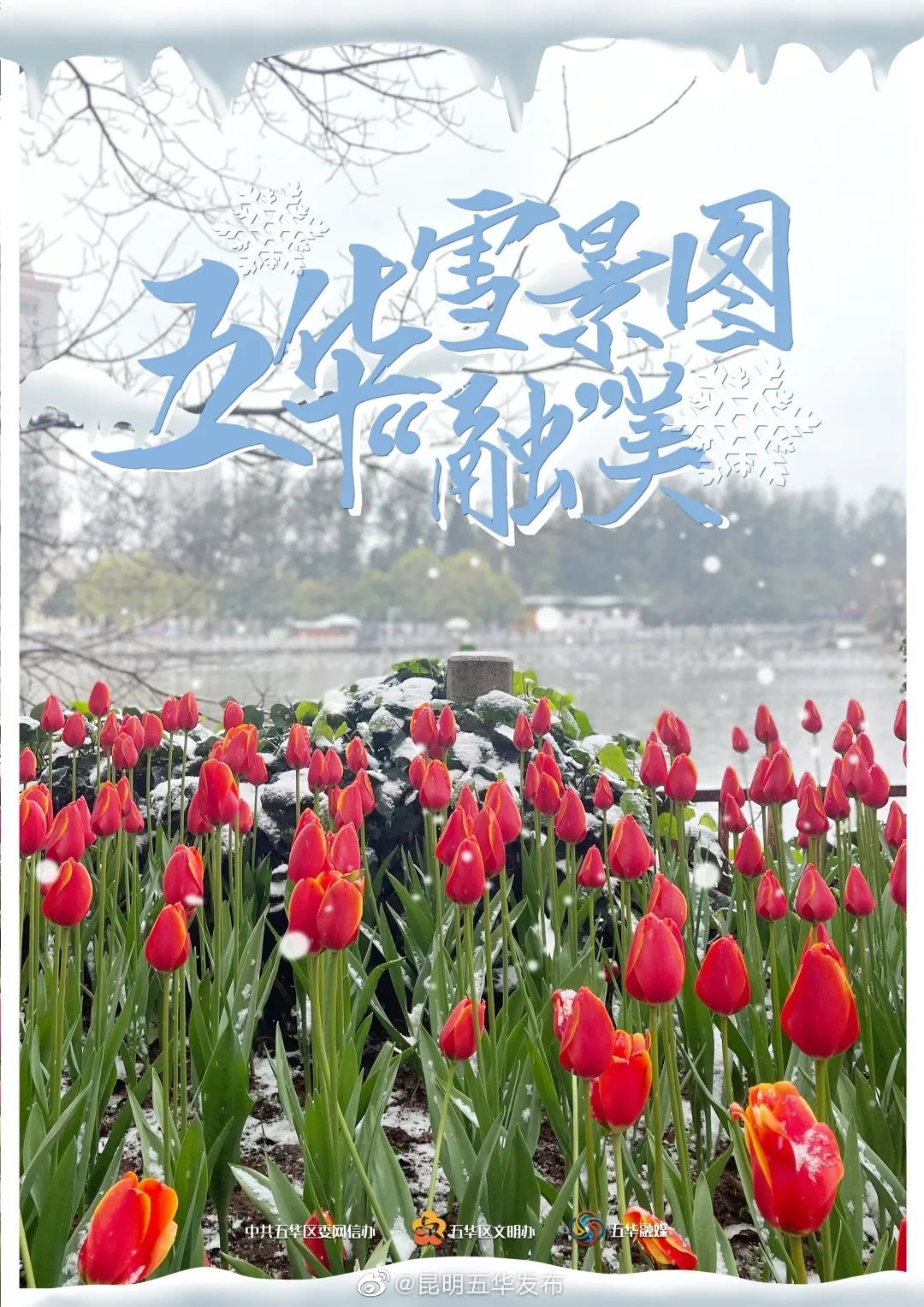 “昆明五华发布”微博