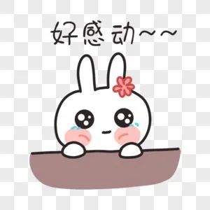 东川发布(微信)