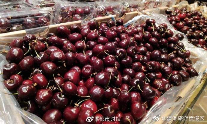 车厘子价格腰斩 昆明人可实现车厘子自由了