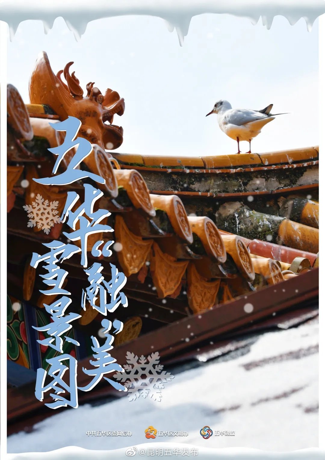 “昆明五华发布”微博