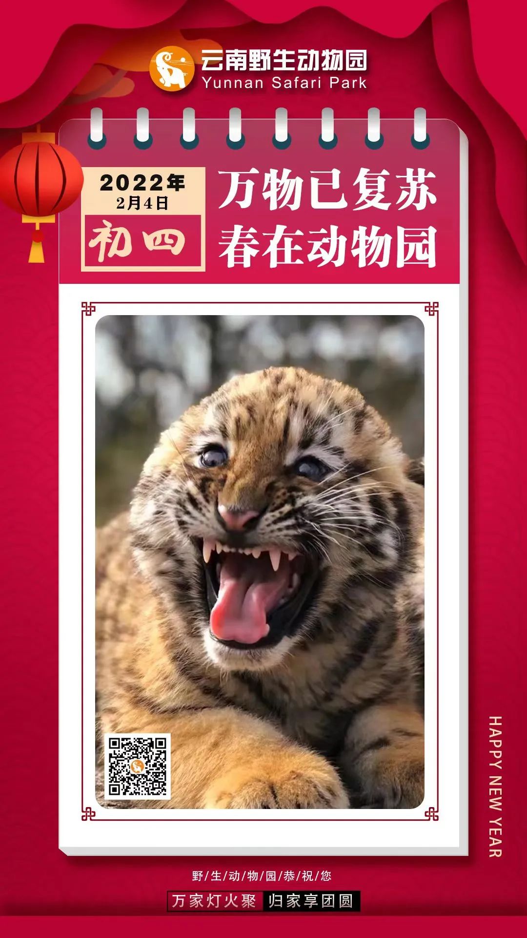 初四|万物已复苏，春在动物园