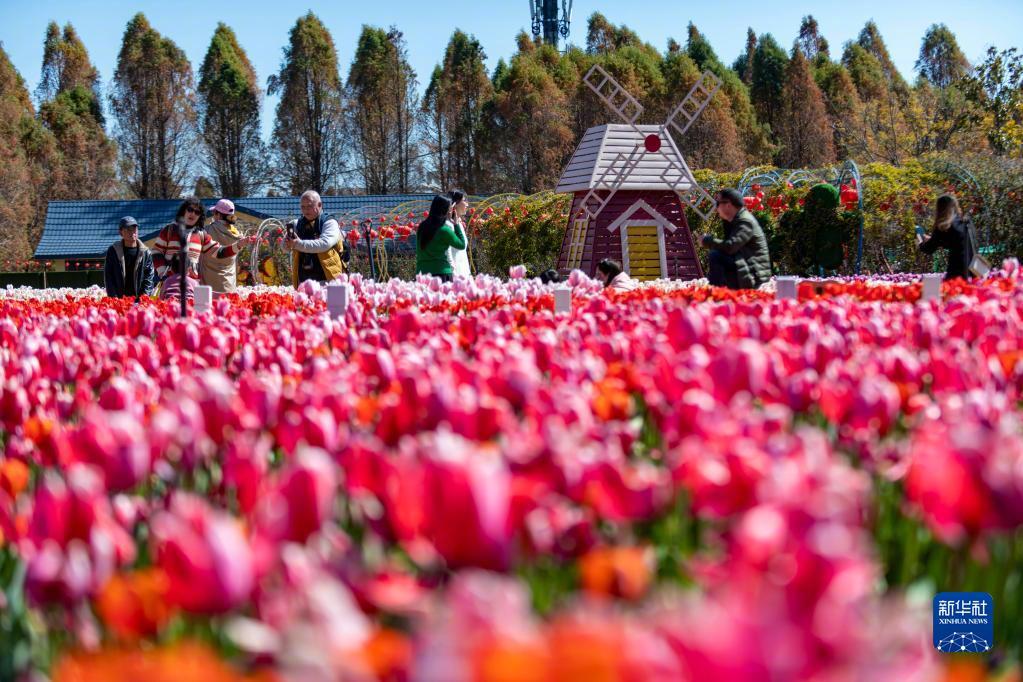 “云南发布”微博