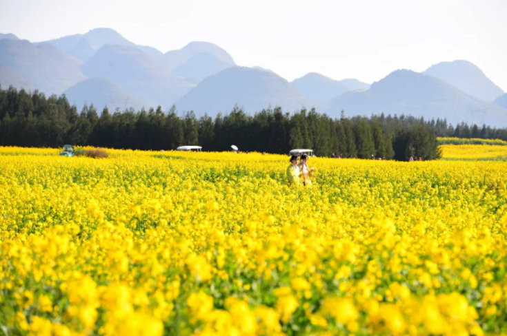 “云南发布”微博