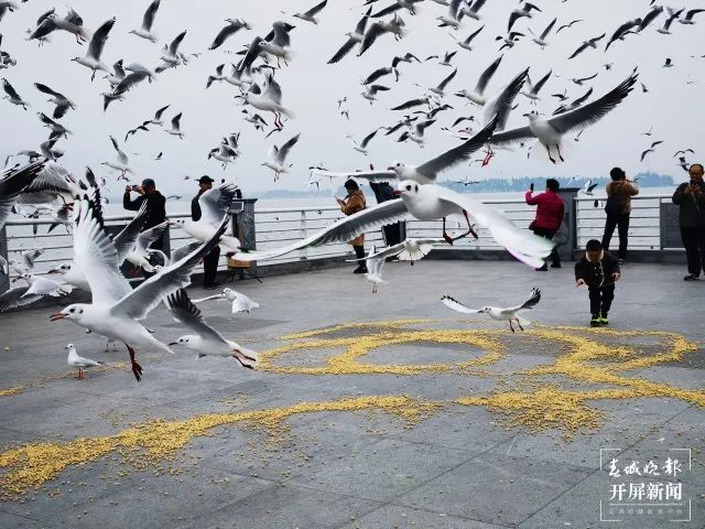 昆明滇池国家旅游度假区管理委员会(微信)