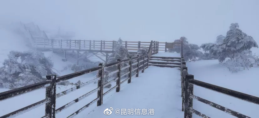 昆明信息港