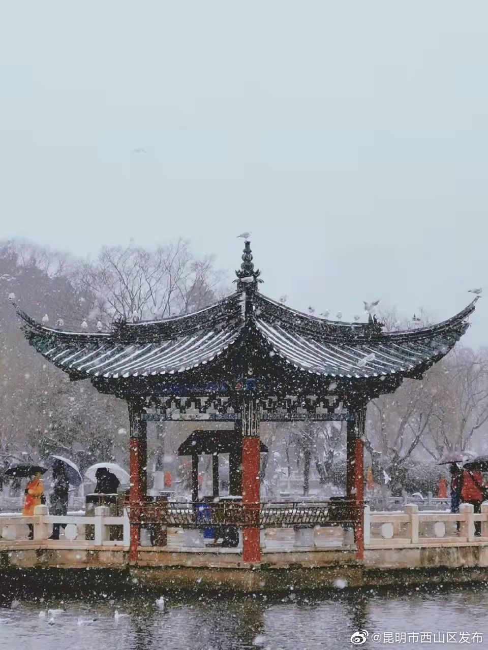 “昆明市西山区发布”微博