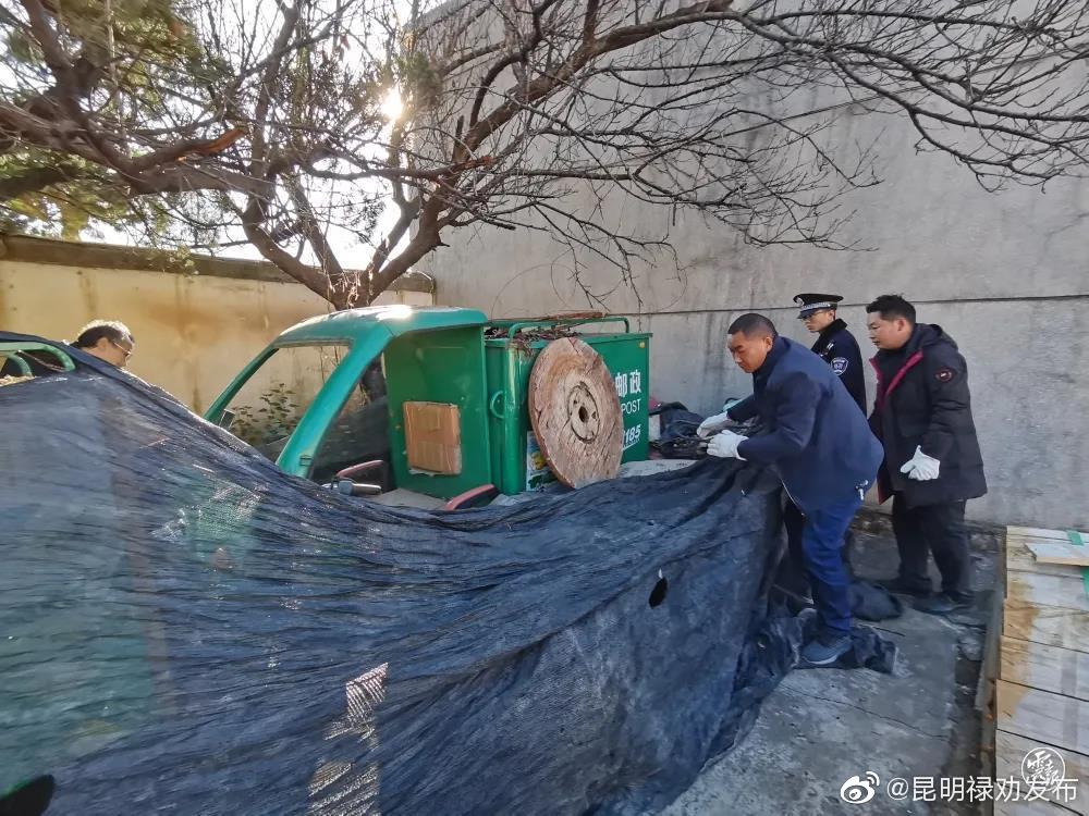 昆明禄劝发布