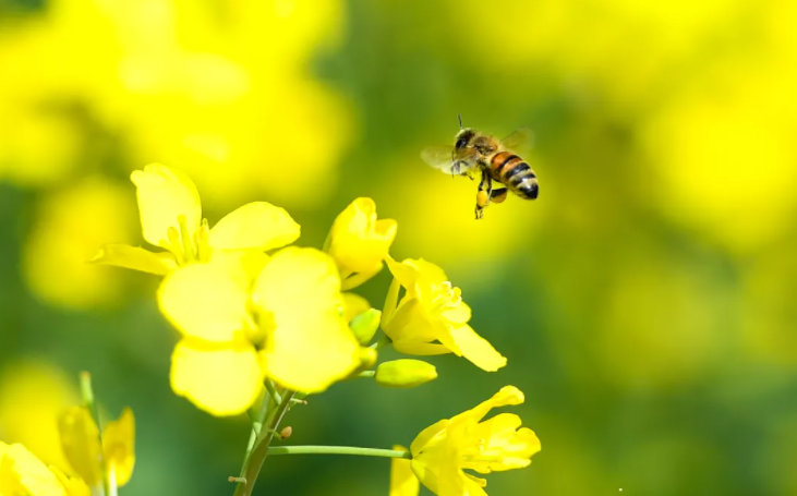 “云南发布”微博