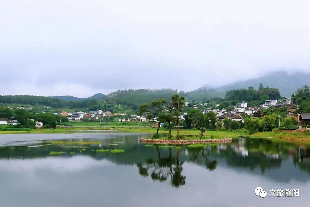 保山新闻网