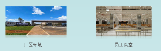 昆明市劳动就业服务局