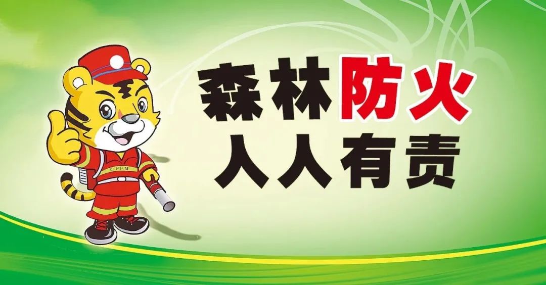 丽江日报