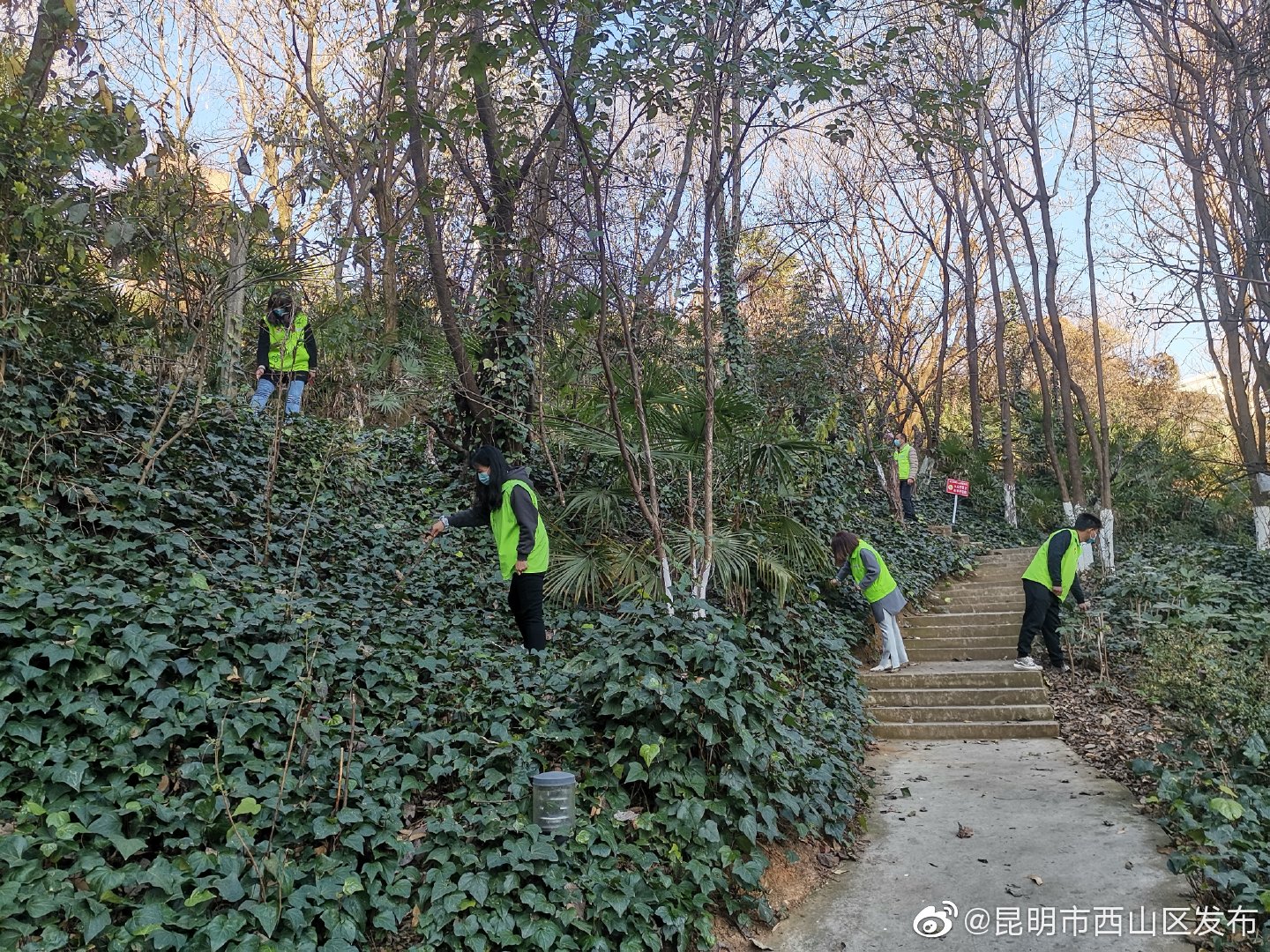 “昆明市西山区发布”微博