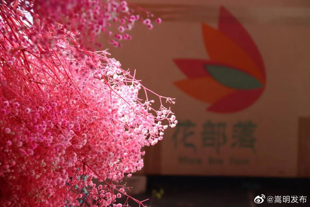 嵩明发布