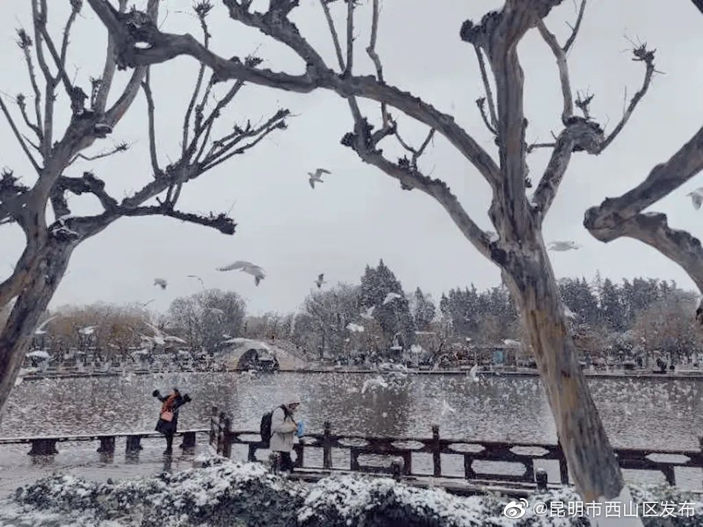 “昆明市西山区发布”微博
