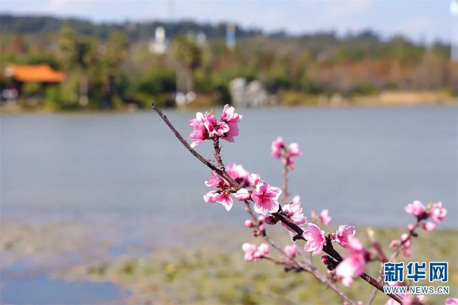 昆明滇池国家旅游度假区管理委员会(微信)