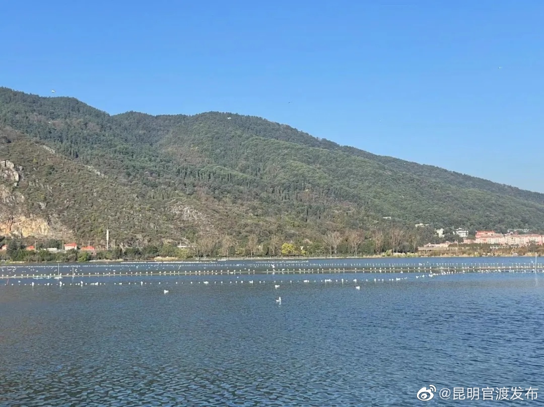 “昆明官渡发布”微博