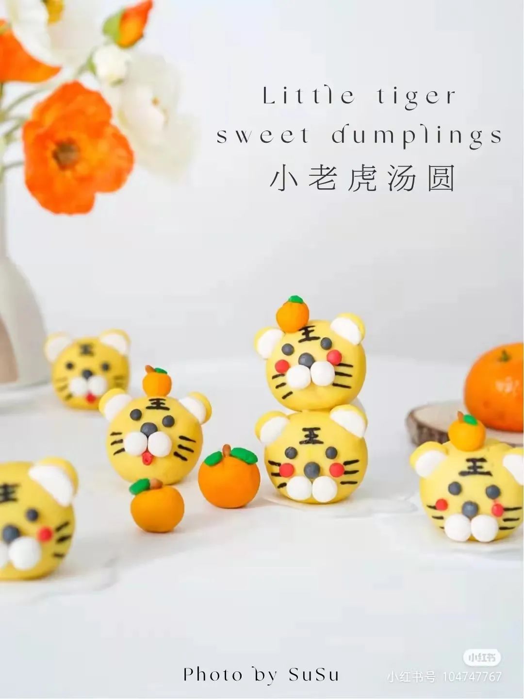 盘龙教育(微信)