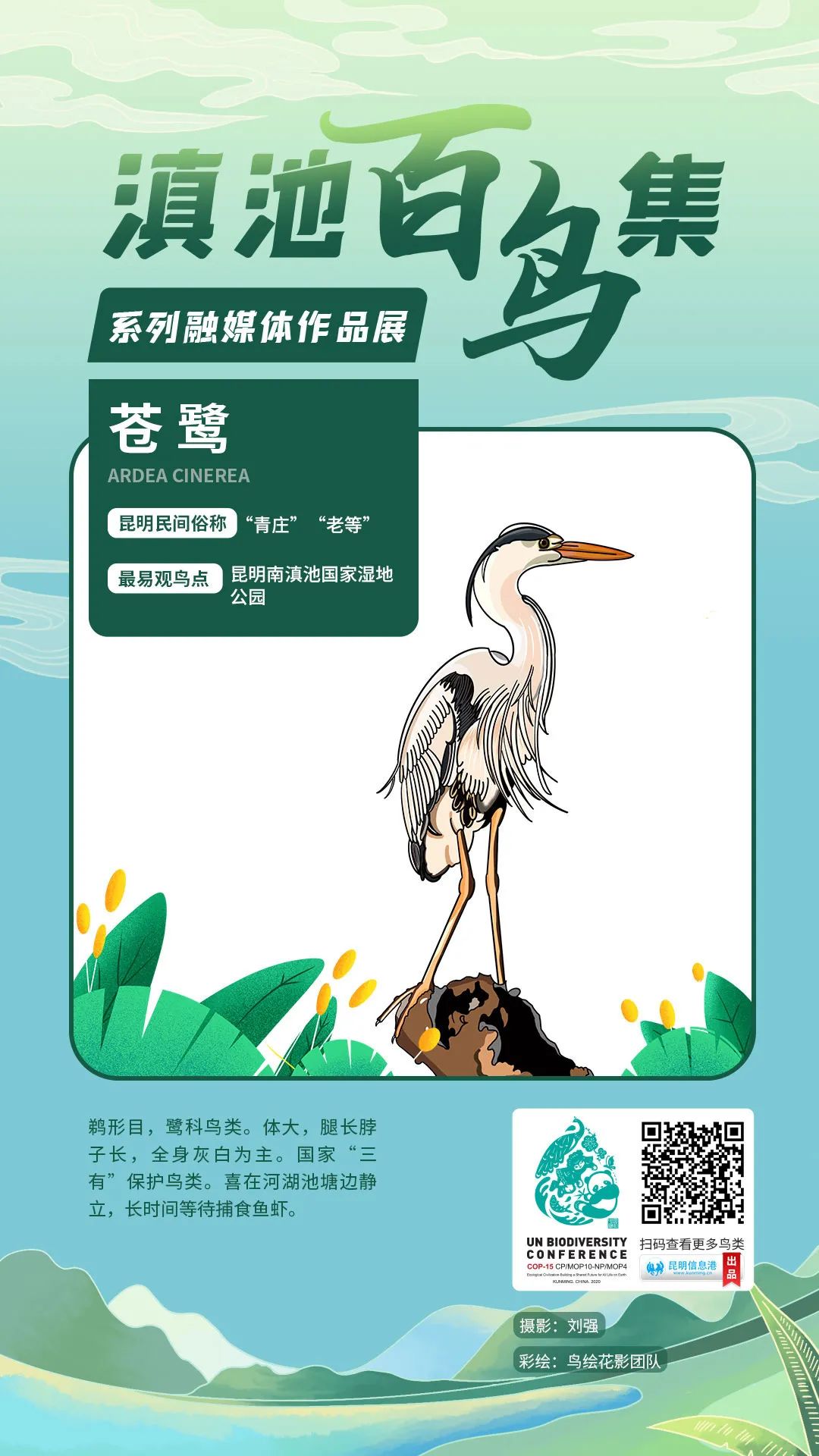 昆明信息港/cnkmxxg