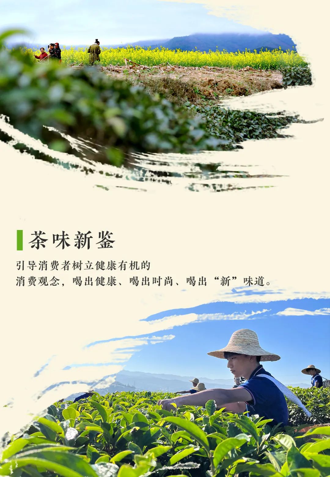 普洱日报