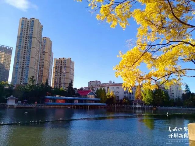 春城晚报