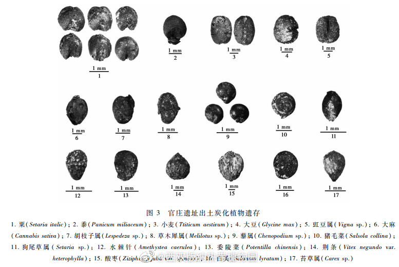西双版纳热带植物园微博