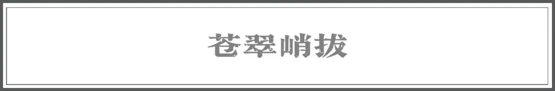 丽江日报