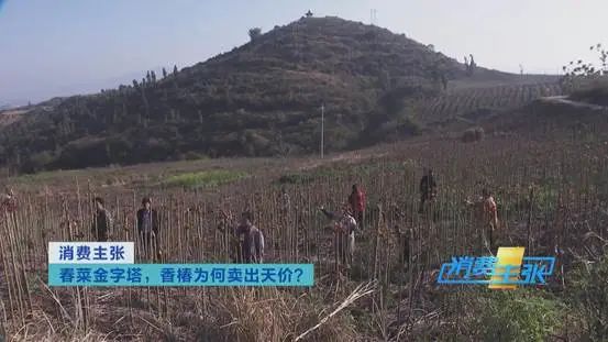 掌上春城微信公众号