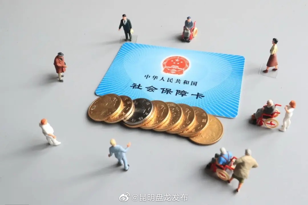 盘龙：一载深耕“社保田” 聚首回眸不负民