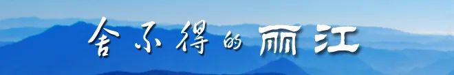 丽江日报