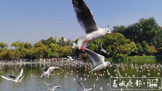 昆明滇池国家旅游度假区管理委员会(微信)
