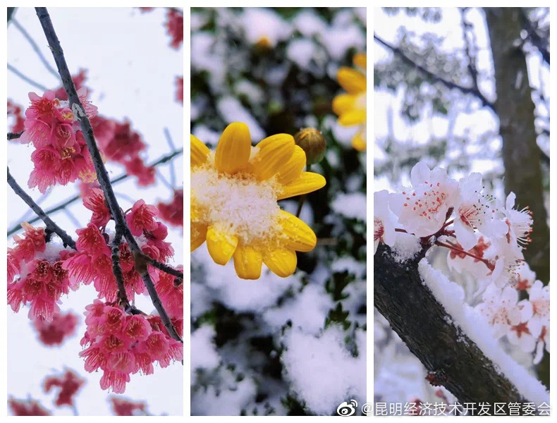 昆明经济技术开发区管委会