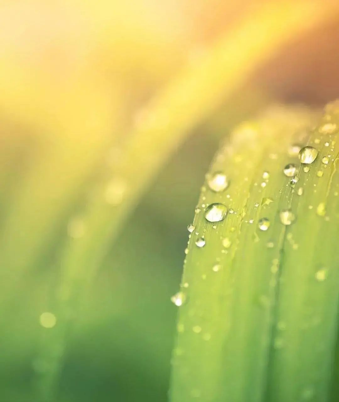 保山广播电视台